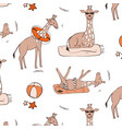 giraffa on beach sunbathing swimming relaxing vector image