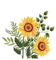 spring flowers with leaves vector image