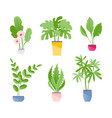 indoor plants set vector image