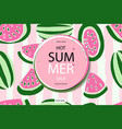 summer sale in watermelon background vector image