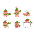 pig set isolated vector image