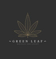 cannabis marijuana hemp green leaf flat symbol vector image vector image