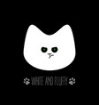 white and fluffy cat with green eyes kitten vector image vector image