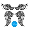 decorative wings set vector image