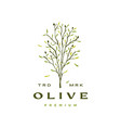 olive tree leaf logo icon vector image vector image