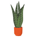 green plant in pot icon interior flowerpot vector image vector image