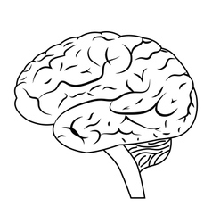 Human brain lateral view hand drawing vintage Vector Image