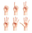 six gestures of people hands vector image vector image