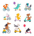 cute animal character riding bike and scooter vector image