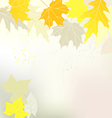 autumn background yellow leaves vector image