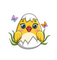 easter chick egg vector image