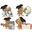 set owls teachers vector image