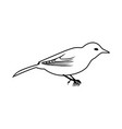 sketch bird vector image