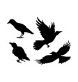 cartoon set black halloween holiday silhouette vector image