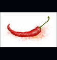 red chili drawn paints vector image