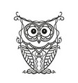 hand drawn owl for adult and children coloring vector image