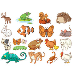 Large set different animals and other objects Vector Image