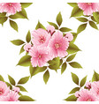 sakura flower seamless pattern vector image