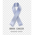 the brain cancer awareness vector image