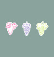 sticker one line art style grapes abstract food vector image
