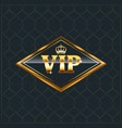 luxury creative golden vip label premium label vector image