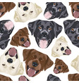 seamless pattern labrador mix vector image vector image