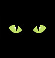 animal eye yellow icon party cartoon dark vector image vector image
