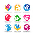 pet care logo design template vector image