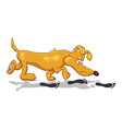 cartoon of a funny bloodhound dog with fixed look vector image
