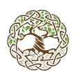 celtic tree of life vector image