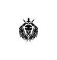 lion head vector image vector image