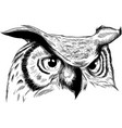 owl - icon design on white vector image