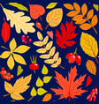 cute flat seamless pattern with autumn leaves vector image