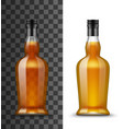 alcohol drink glass bottle isolated vector image vector image