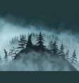 mysterious hill with pines spruces grass covered vector image vector image