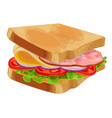 Toasted sandwich with green lettuce sliced Vector Image