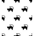 cat seamless pattern vector image