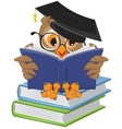 wise owl reading book vector image