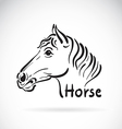 horse head vector image