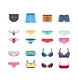male and female underwear pants bra flat vector image