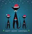 cat merry christmas vector image