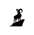 goat animal vector image