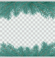 fir branch border winter holiday decoration vector image vector image
