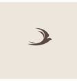swallow bird abstract logo design template vector image vector image