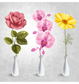 flowers in the vases vector image