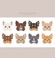 chihuahua dogs clipart different coat color vector image vector image