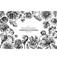 floral design with black and white viburnum vector image vector image