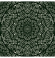 lace pattern with thin elegant lines vector image