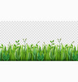 realistic grass border lush strip of green vector image vector image