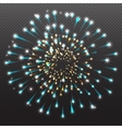 set festive firework salute burst on transparent vector image